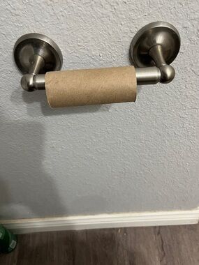 Morphe Stainless Steel Toilet Paper Holder in Brushed Nickel